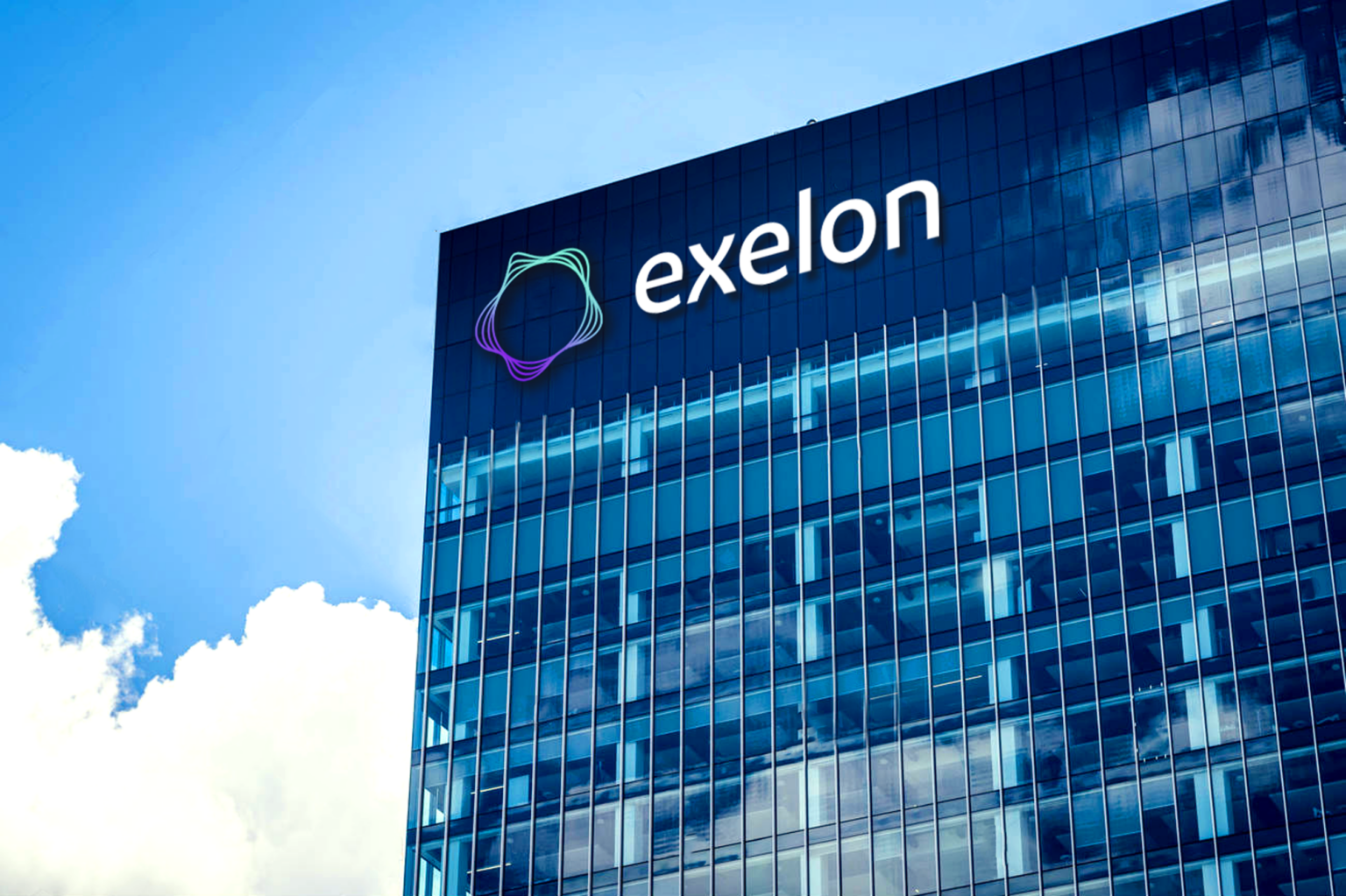 Exelon Brand and Visual Identity Case Study | The Energy Wave Symbol